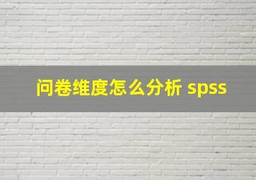 问卷维度怎么分析 spss